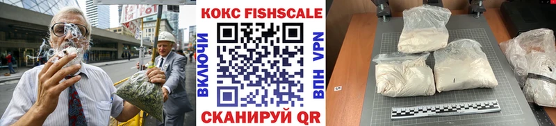 где найти наркотики  Петропавловск-Камчатский  Кокаин FishScale 