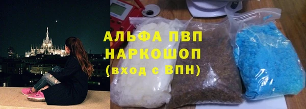 шишки Горняк