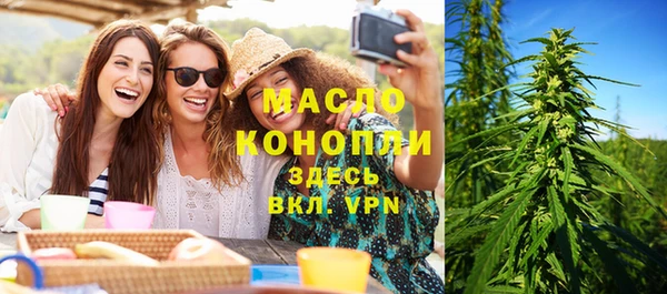 шишки Горняк