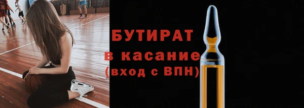 шишки Горняк