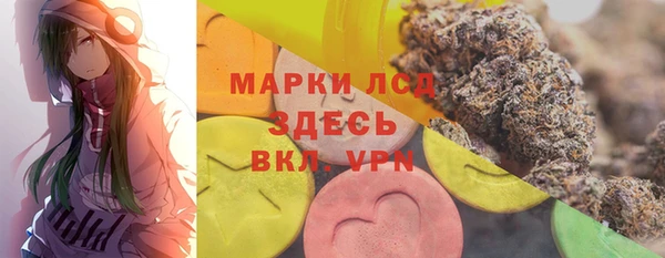 гидра Горнозаводск
