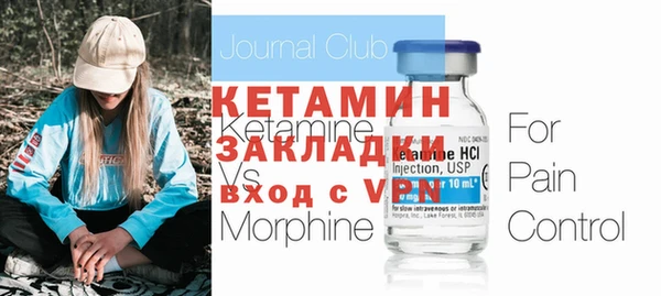 шишки Горняк